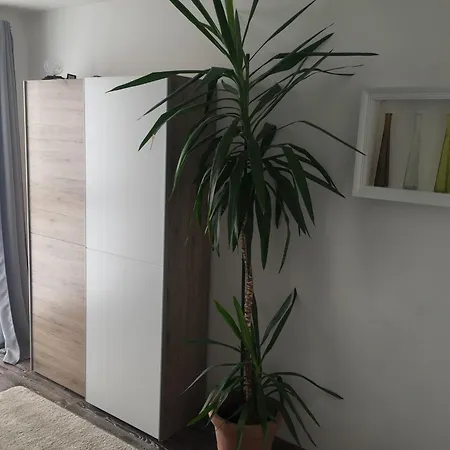 Nahrstedt Apartment Waldeck (Hessen)