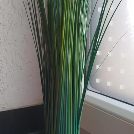 Nahrstedt شقة *