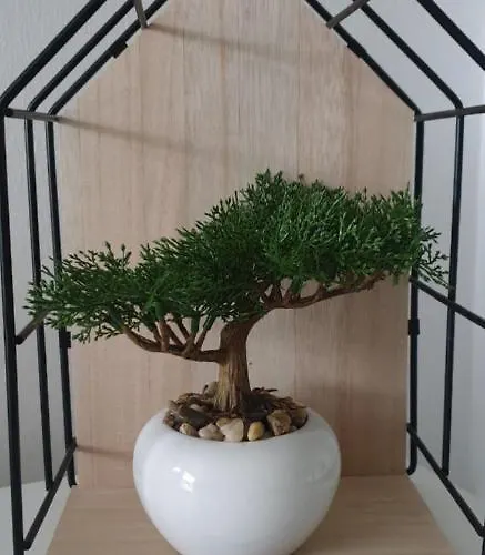 Nahrstedt Waldeck (Hessen)